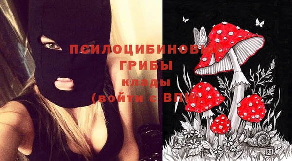 прущие грибы Алзамай