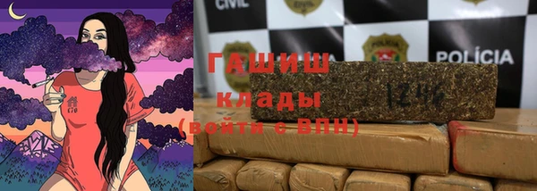 прущие грибы Алзамай